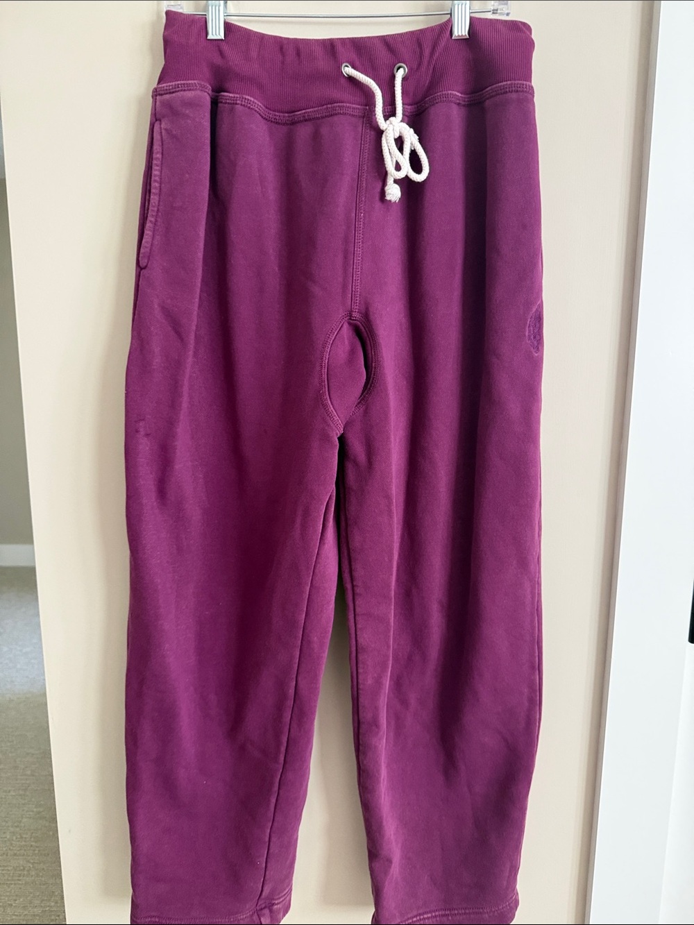 Free People Cozy Purple Drawstring Sweatpants